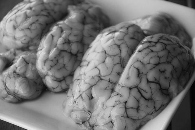 How Dangerous Is It To Eat Animal Brain? image 0