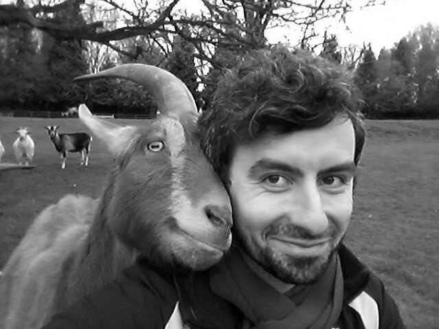 Are Goats Friendly to Humans? photo 0
