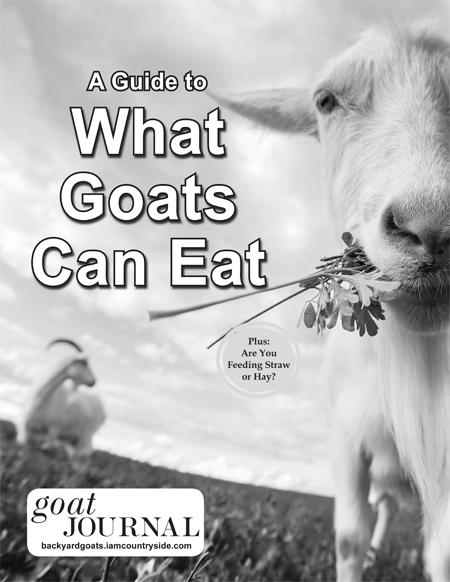 What Do Goats Eat? image 5