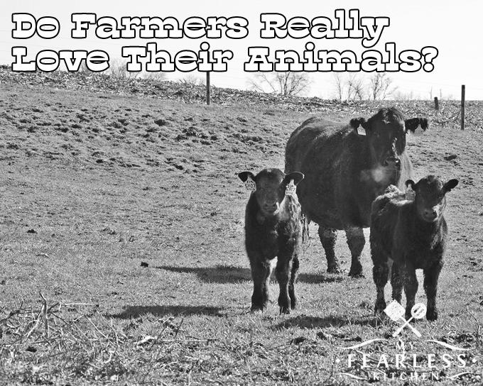Do Farmers Get Attached to Their Animals? photo 0
