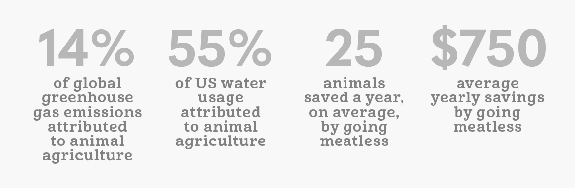 Facts About Animal Abuse in Factory Farms image 1