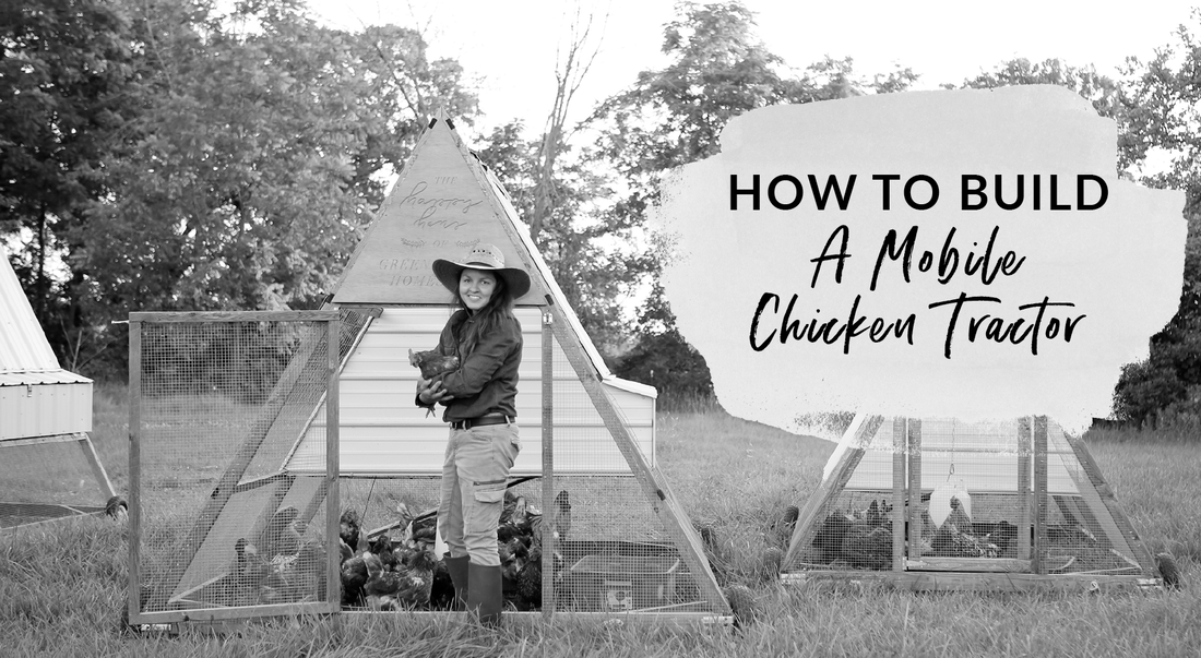 How to Build a Shelter For Chickens image 0