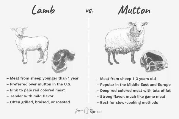 Goat Meat Vs Sheep Meat image 10