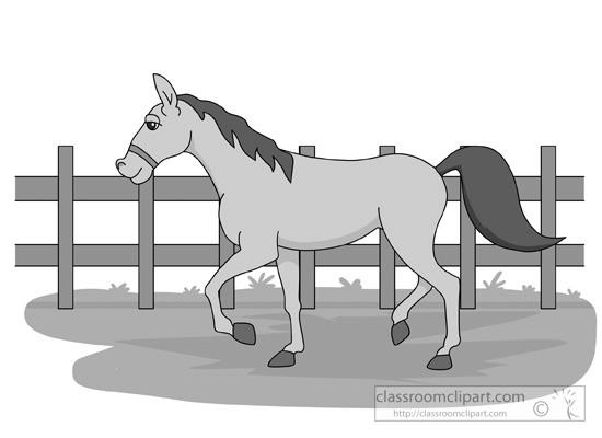 Is Horse a Farm Animal? image 5