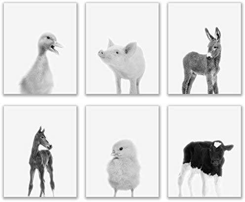 Chickens, Donkeys, and Horses — Which is Your Favorite Farm Animal? image 2