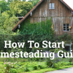 how to start homesteading guide