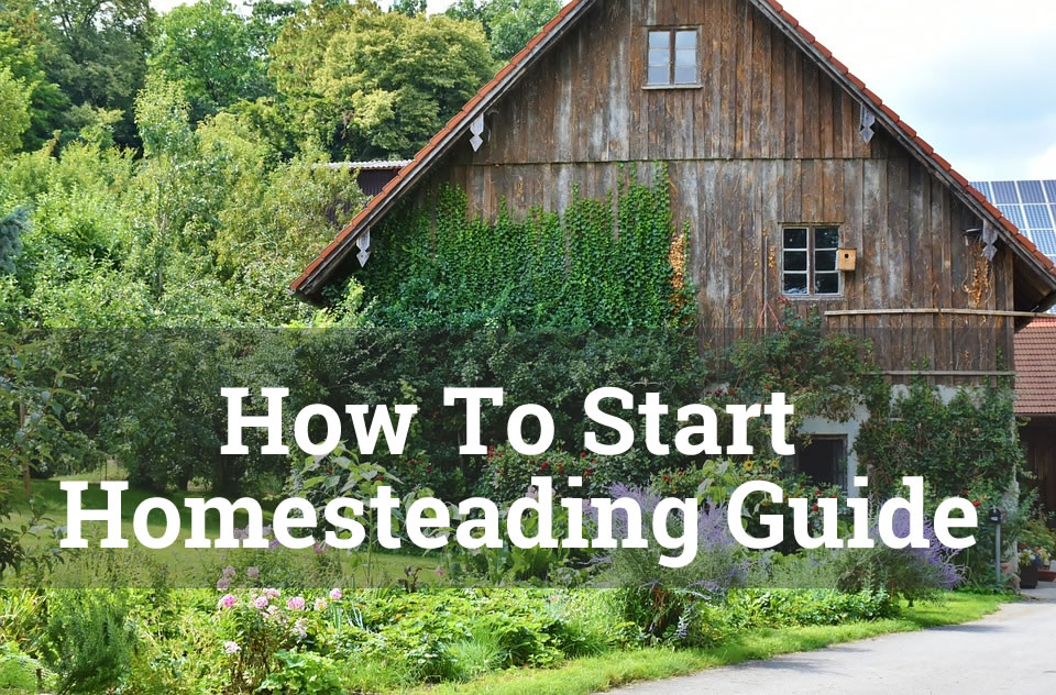 how to start homesteading guide