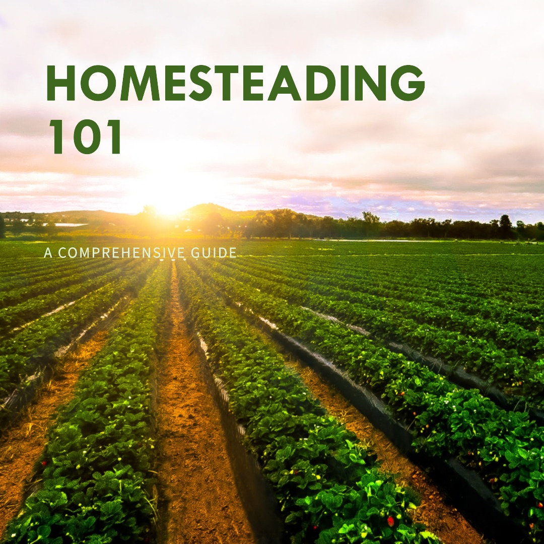 A Comprehensive Guide to Starting Your Own Homestead